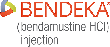 Bendeka Logo